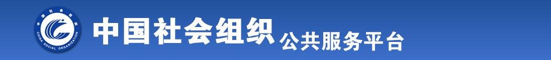 插干色全国社会组织信息查询